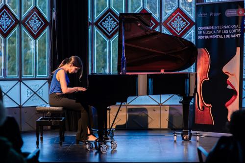 20è CIM Semifinal, categoria instrumental